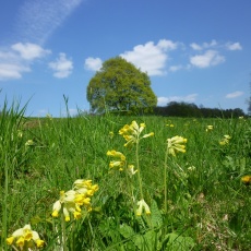 Impressionen Rühler Schweiz