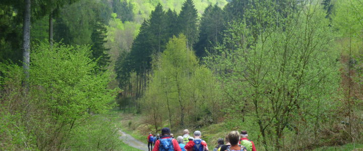 Liebe Wanderfreunde, Liebe Wanderfreunde,