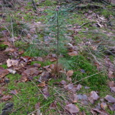 Nächste Wanderungen