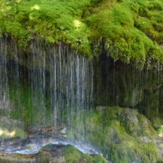 Liebe Bergfreundinnen und Bergfreunde,