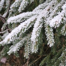Liebe Bergfreundinnen und Bergfreunde,