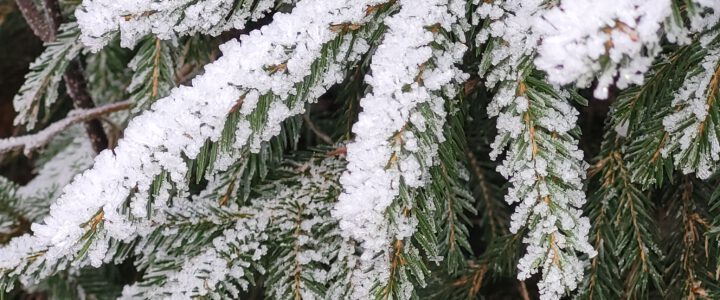Liebe Bergfreundinnen und Bergfreunde,