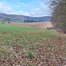 Veranstaltung in Kooperation mit dem Sportbildungswerk